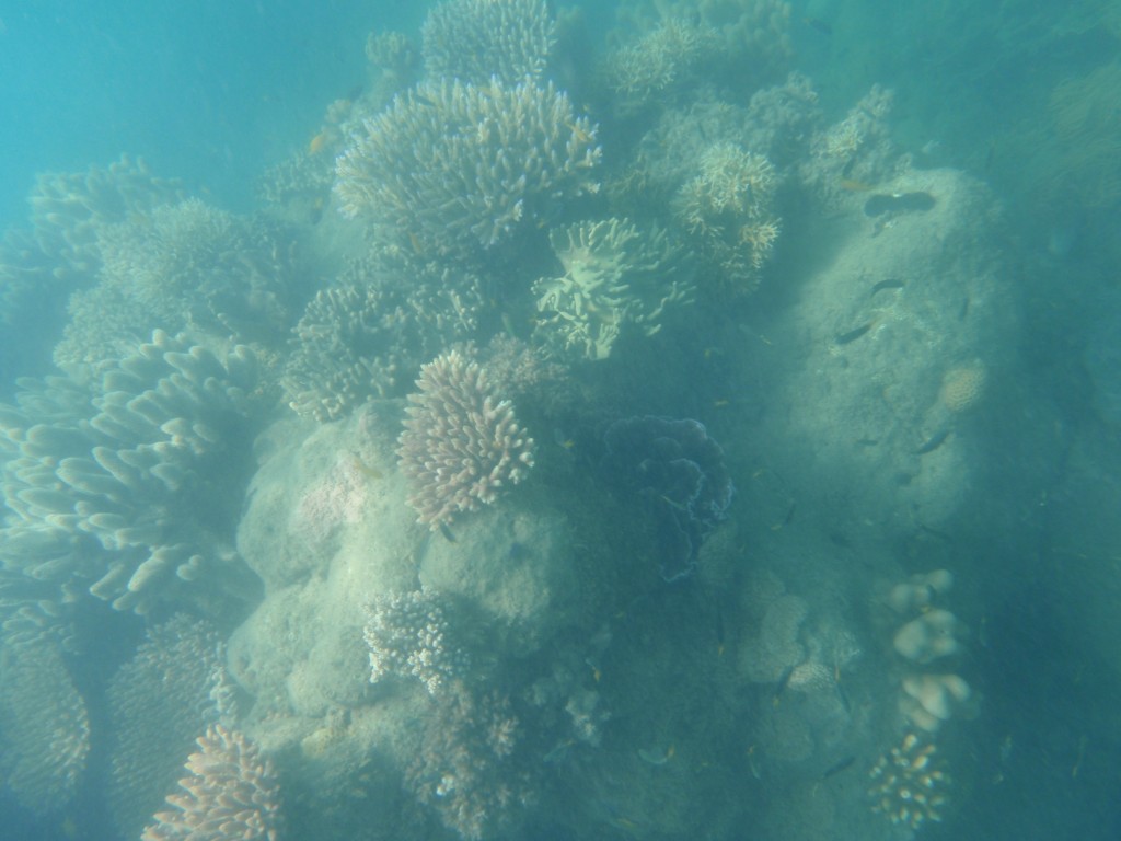 sm_AR-P9064567.JPG