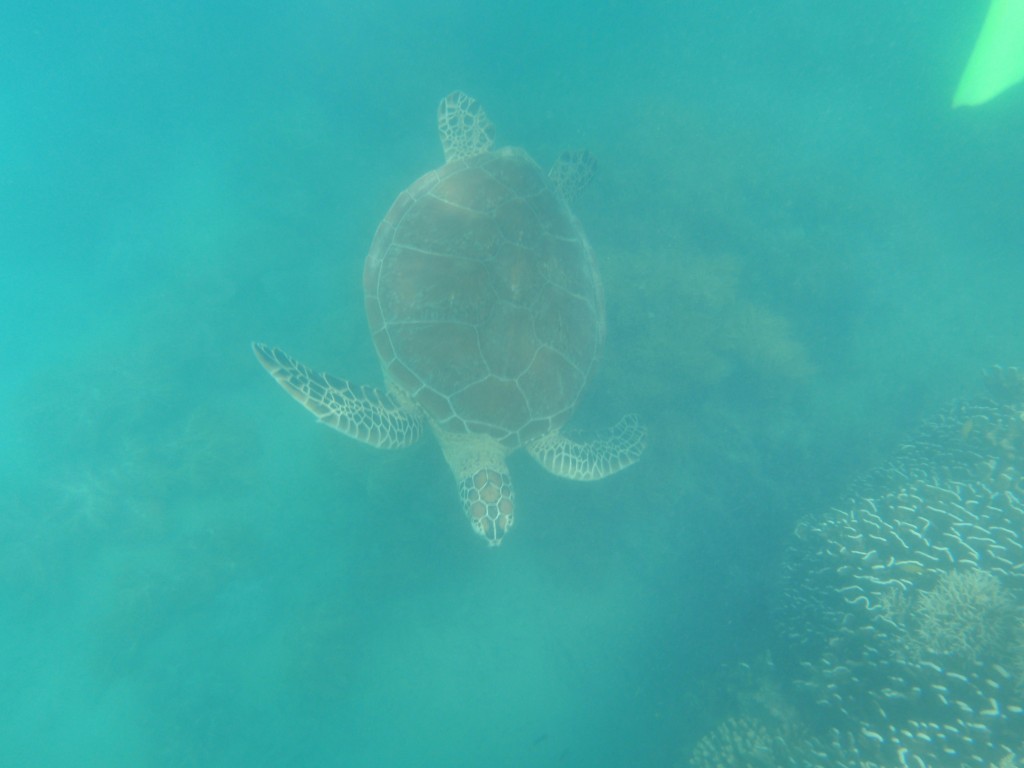 sm_AR-P9064579.JPG