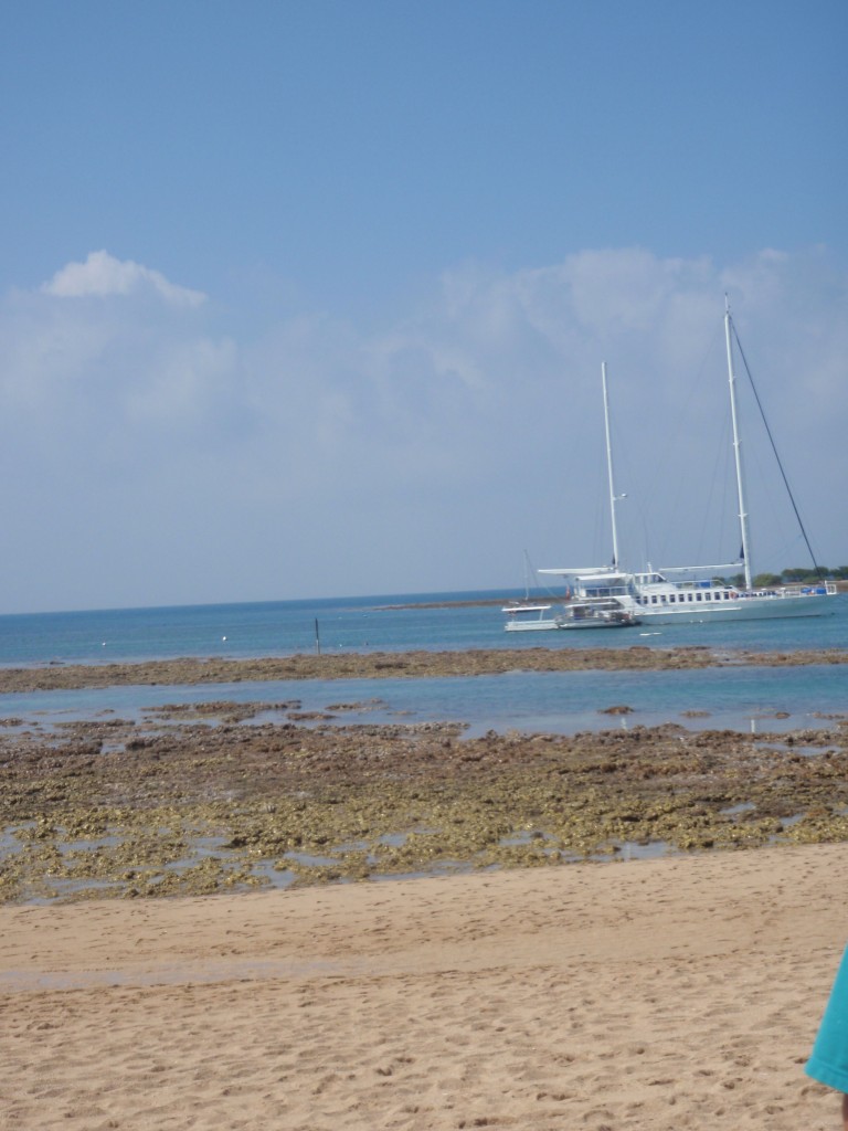 sm_AR-P9064629.JPG