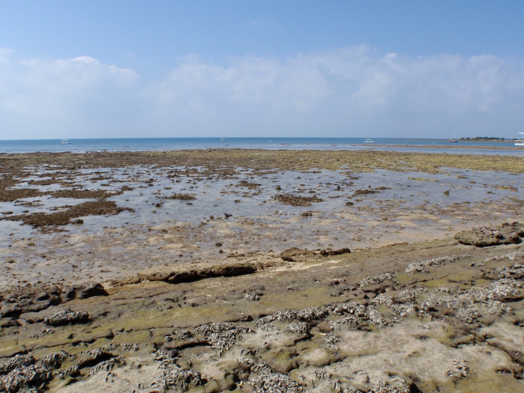 sm_P9064868.JPG