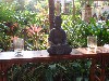 sm_AR-P9064520.JPG