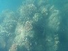 sm_AR-P9064567.JPG