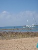 sm_AR-P9064629.JPG