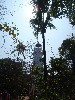 sm_AR-P9064633.JPG