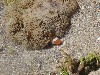 sm_AR-P9064648.JPG