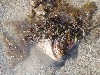 sm_AR-P9064659.JPG