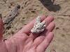 sm_P9064856.JPG
