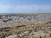 sm_P9064868.JPG