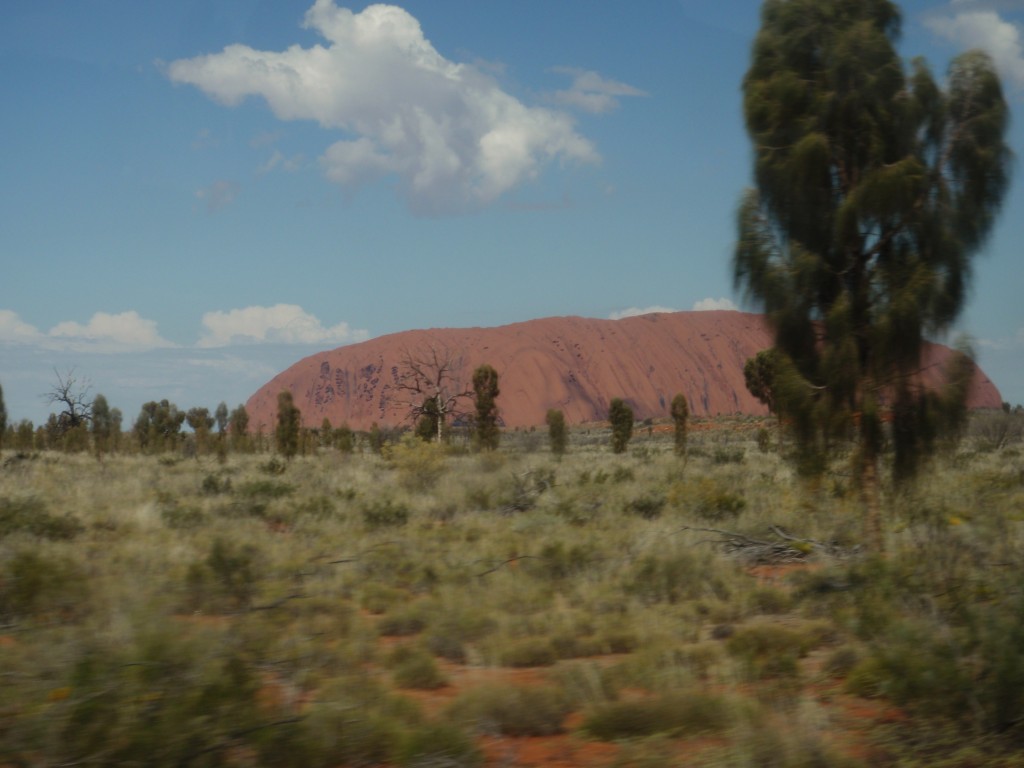 sm_AR-P9074705.JPG