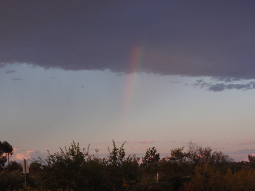 sm_P9084924.JPG