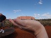 sm_AR-P9074732.JPG