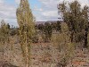 sm_AR-P9074749.JPG