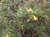 sm_AR-P9074754.JPG