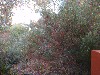 sm_AR-P9074761.JPG