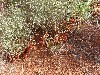 sm_AR-P9084781.JPG