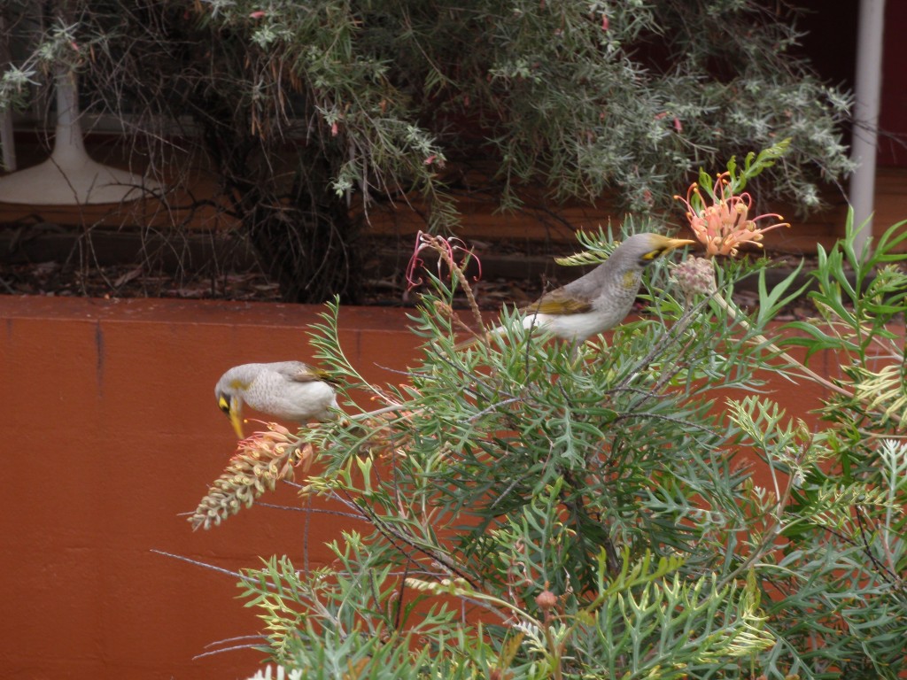 sm_P9085079.JPG