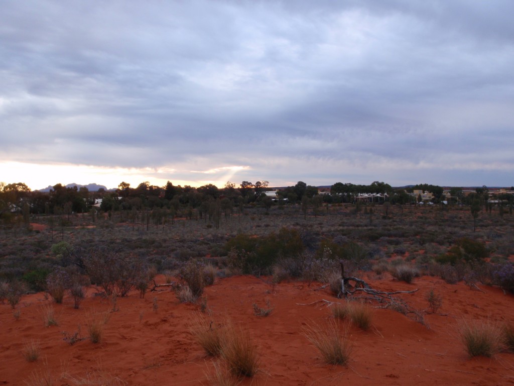 sm_P9095249.JPG