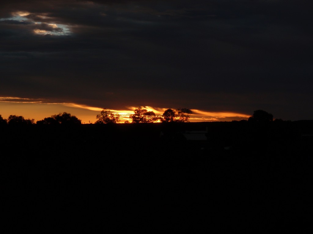 sm_P9095295.JPG