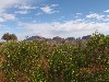 sm_AR-P9084794.JPG