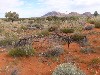 sm_AR-P9084795.JPG