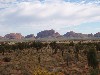 sm_AR-P9084802.JPG
