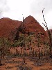sm_AR-P9084984.JPG