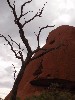 sm_AR-P9084987.JPG