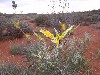 sm_AR-P9095025.JPG