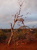sm_AR-P9095038.JPG