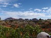 sm_P9084972.JPG