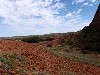 sm_P9085066.JPG