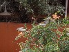 sm_P9085079.JPG