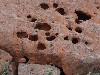 sm_P9085206.JPG