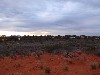 sm_P9095249.JPG