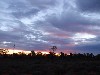 sm_P9095392.JPG