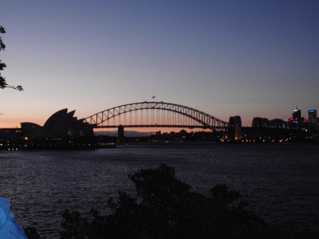 sm_AR-P9105055.JPG