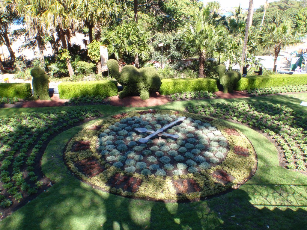 sm_AR-P9105215.JPG