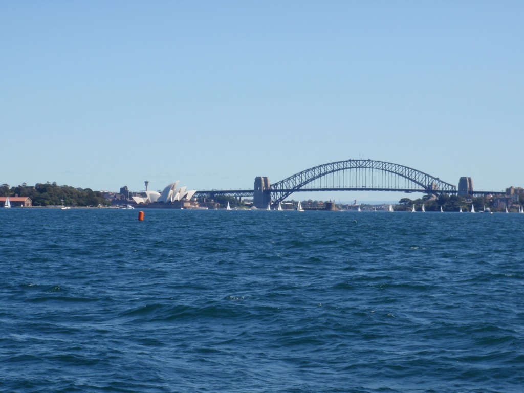 sm_AR-P9105313.JPG