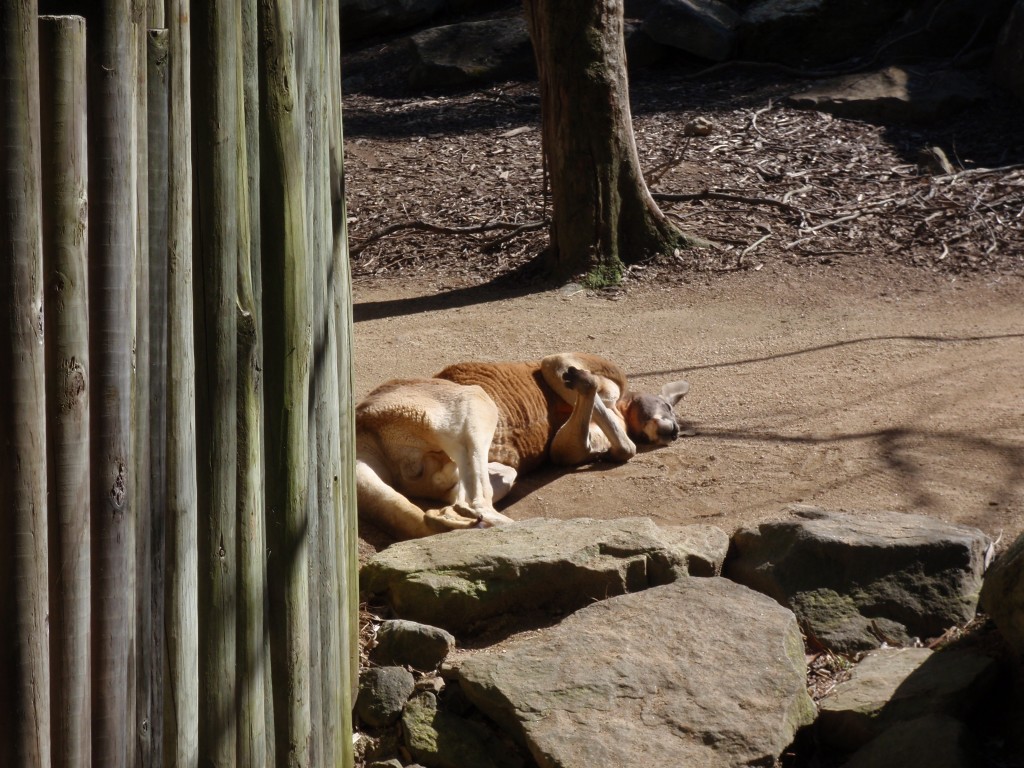 sm_P9105611.JPG
