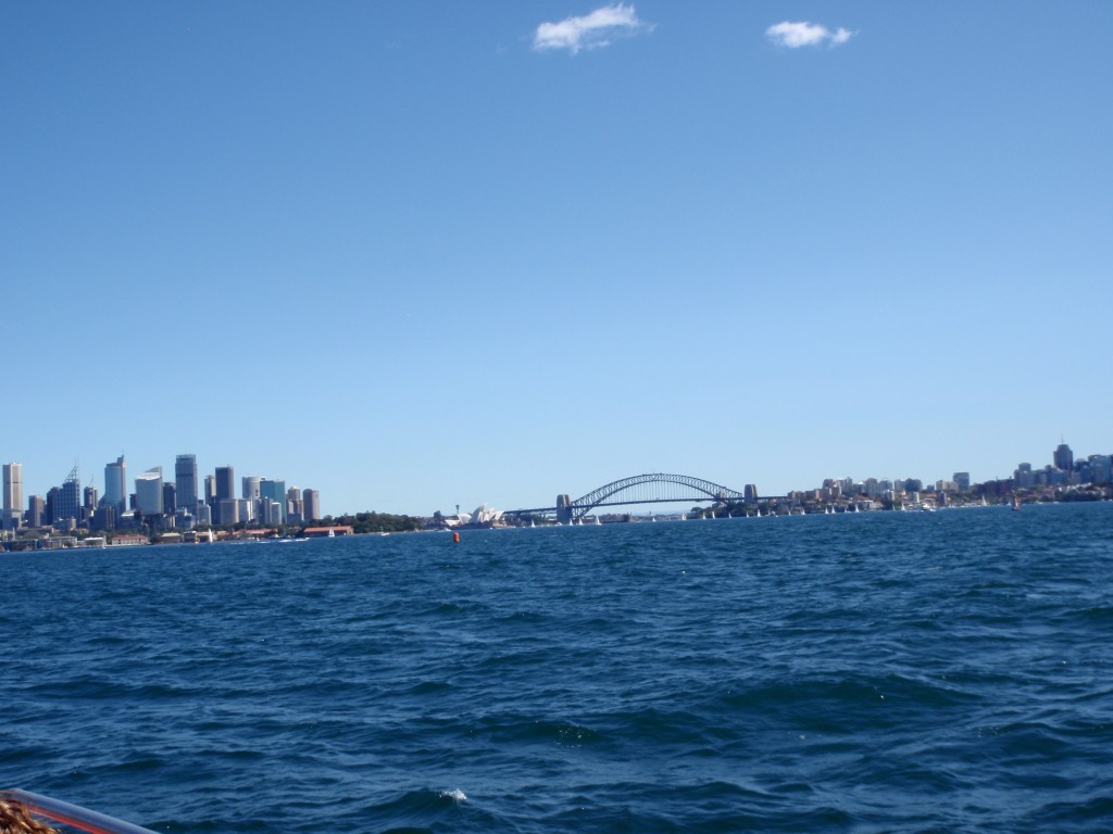 sm_P9105755.JPG