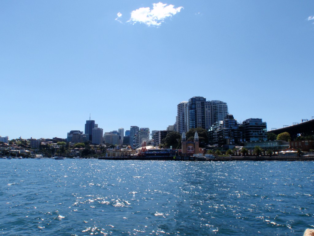 sm_P9105816.JPG