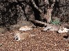 sm_AR-P9105102.JPG