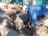 sm_AR-P9105113.JPG