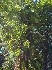 sm_AR-P9105211.JPG