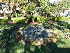 sm_AR-P9105215.JPG