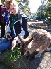 sm_P9105547.JPG
