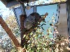sm_P9105572.JPG
