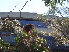 sm_P9105592.JPG