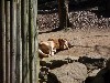 sm_P9105611.JPG