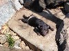 sm_P9105635.JPG